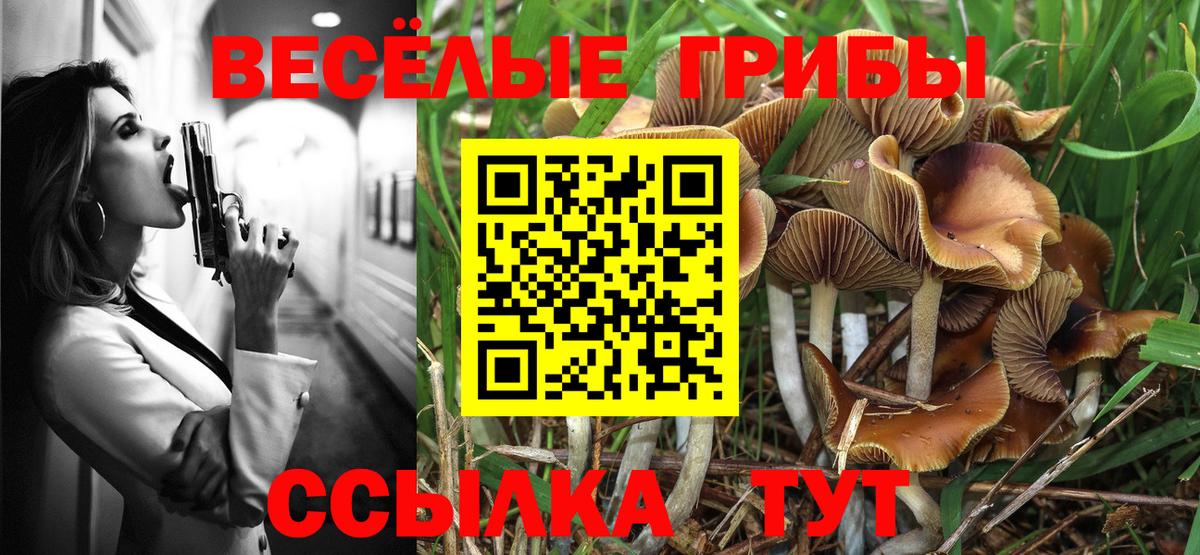 Псилоцибиновые грибы прущие грибы  Вход с VPN  Саянск  Псилоцибиновые грибы мицелий 