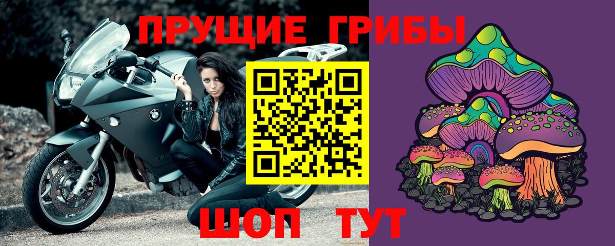 Псилоцибиновые грибы ЛСД Саянск